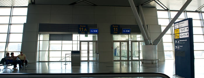 Gate 11/11A is one of Vnukovo airport locations.