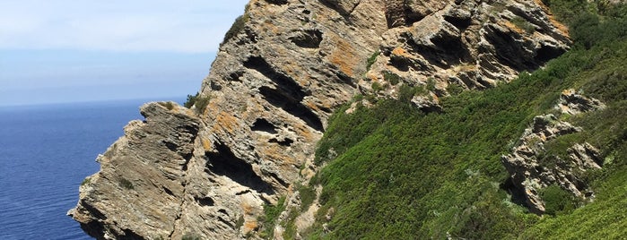Gorgona is one of Tuscan Archipelago.
