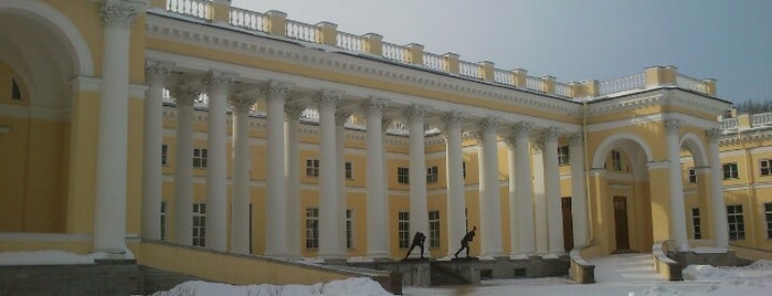 Александровский дворец is one of Дворцы Санкт-Петербурга -Palaces of St. Petersburg.