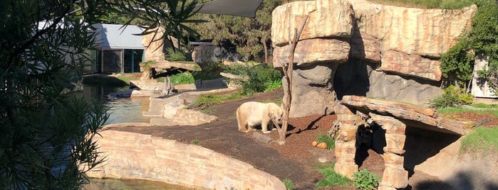 Zoo Bus Tour is one of Guide to San Diego's best spots.