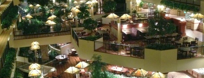 Embassy Suites by Hilton is one of Lugares favoritos de Curt.