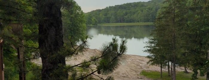 Treetop Restaurant And Lodge is one of Wild and Wonderful West Virginia, Pt. 2.