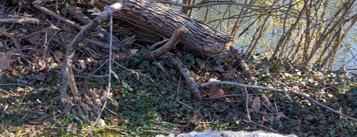 Conestoga Greenway Trail is one of Orte, die Chrissy gefallen.