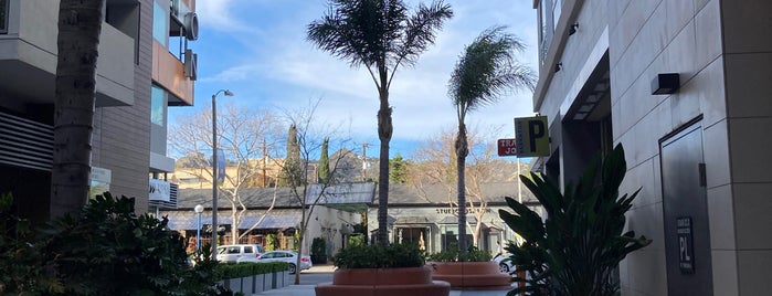 Trader Joe's is one of Our LA neighborhood.