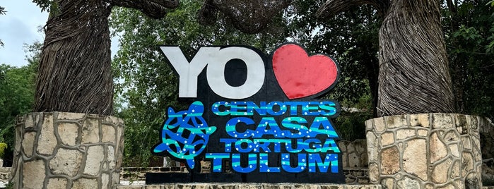 Cenote Tortuga (Aak') is one of Lugares favoritos de Jonathan.