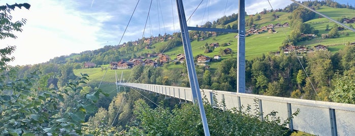 Hängebrücke Sigriswil is one of Switzerland.
