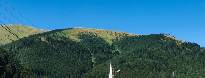 Hamsi Köy Dağ Tesisleri is one of Lieux qui ont plu à TC Bahadır.