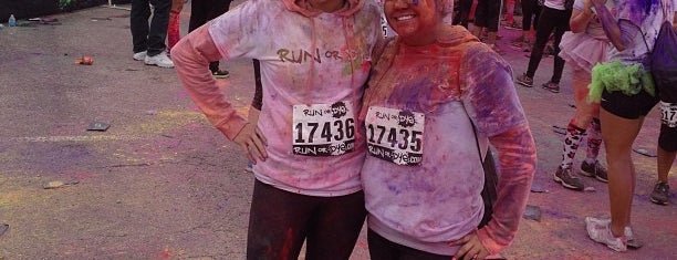 Run or Dye Chicago 2013 is one of Nice info.