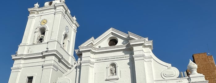 Catedral Basílica de Santa Marta is one of Colombia.