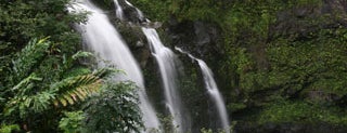 Road To Hana is one of Maui Things To Do.