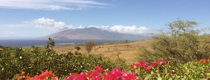 Paradise is one of Maui List.