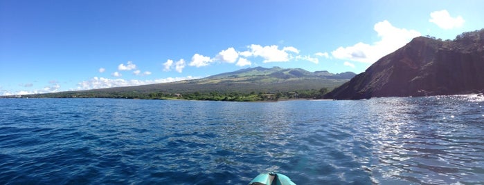 Turtle Town is one of Maui.