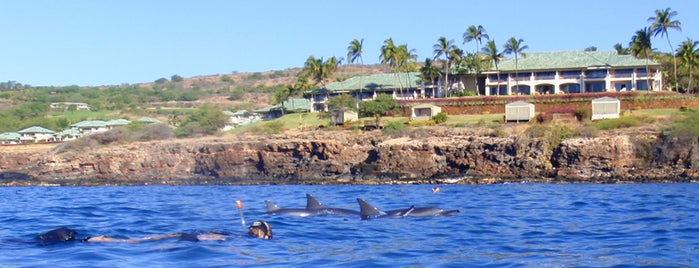 Lahaina Harbor is one of Maui, HI.