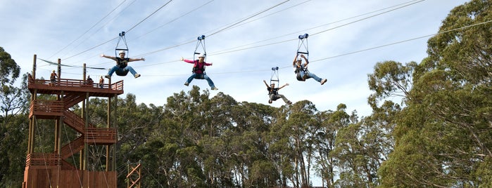 Piiholo Ranch Zipline is one of Christopherさんの保存済みスポット.