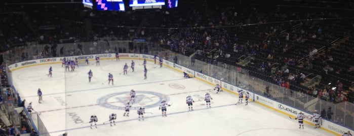 Madison Square Garden is one of NHL Arenas.