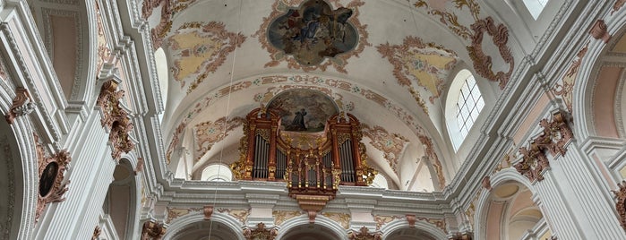 Jesuitenkirche St. Franz Xaver is one of Switzerland Family Trip.