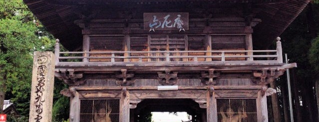摩尼山 宝蔵院 国分寺 (第29番札所) is one of 全国 国分寺総覧.