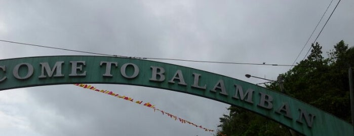 Balamban is one of Cebu Province.