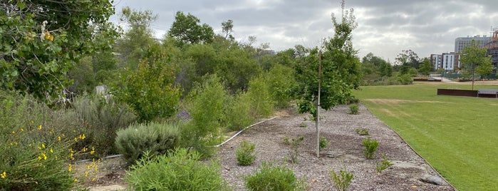 San Diego River Trail at Mission Center Rd is one of to do.