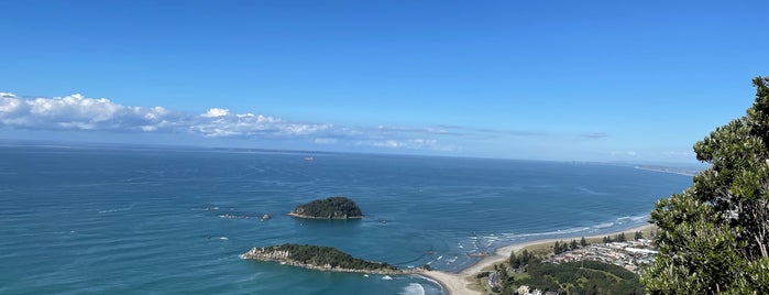 Mount Maunganui Summit is one of The Real Middle Earth 🇳🇿.