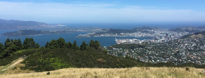 Mt Kaukau is one of Wellington.