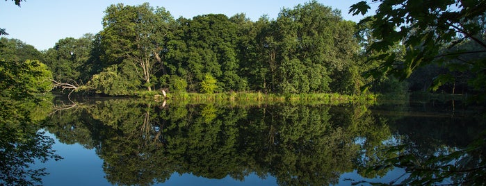 Las Dębiński is one of Parki w Poznaniu // Poznan Parks.