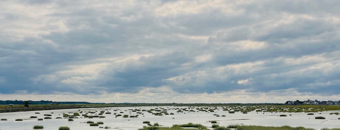 Baie de Somme is one of Travel Highlights.