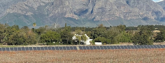 Vrede En Lust is one of Wine region - Capetown.
