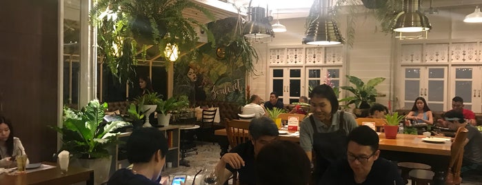 Bangkok-restaurants