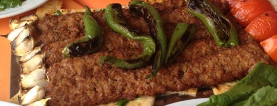 Dayı'nın Yeri is one of Ankara da yemek.