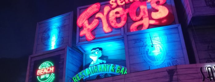 Señor Frog's Store is one of Cancun.