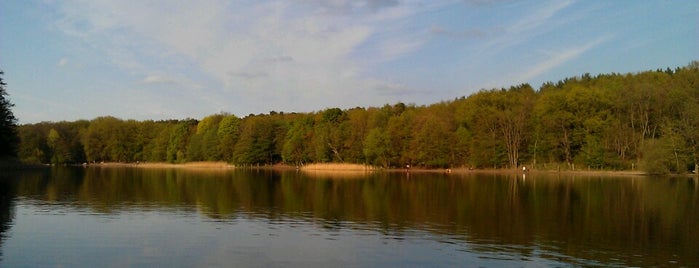 Grunewaldsee is one of Berlin.