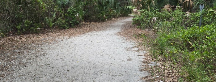 Emerson Point Preserve is one of Passeios/Florida.
