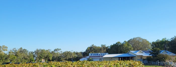Rosa Fiorelli Winery is one of Gulf Coast Florida - Must Visits.