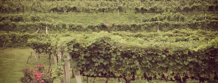 Grandfather Vineyard Winery is one of Vineyard/Winery.