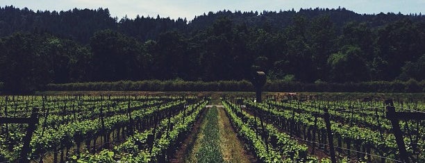 Duckhorn Vineyards is one of Napa recommendations.