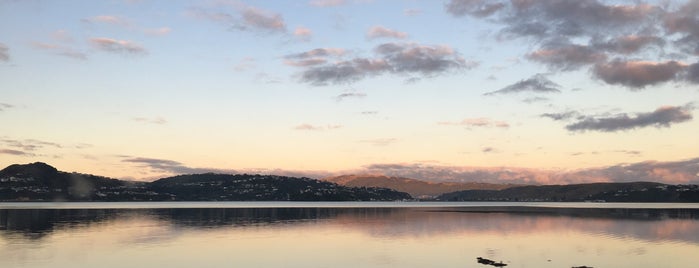 Pauatahanui Inlet is one of Wellington Wedding photography locations.