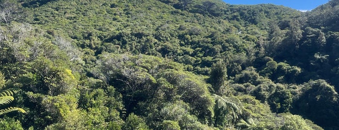 Zealandia Eco-Sanctuary is one of Kiwi Time.