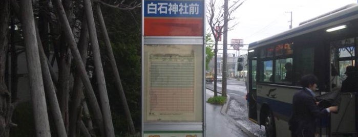 白石神社前 バス停 is one of バス停(北).