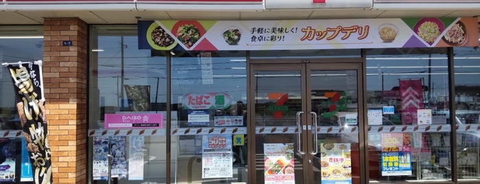セブンイレブン 苫小牧新富町店 is one of FLET'S SPOT.