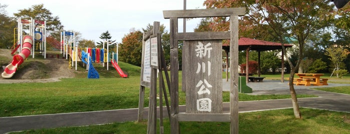 新川公園 is one of 地元観光案内.