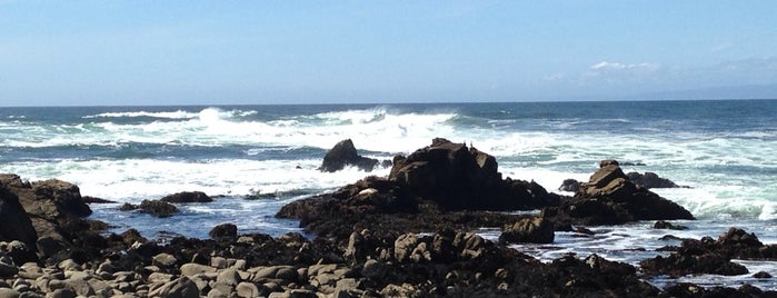 17 Mile Drive is one of Big Sur.