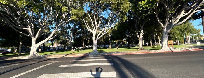 Dr Paul Carlson Memorial Park is one of Parks Of Culver City.