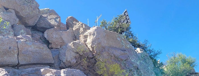 Emory Peak is one of Activities AUS.