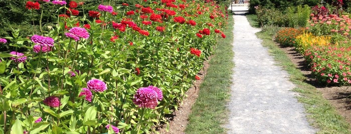 FDR Rose Garden And Gravesite is one of Hudson Valley.