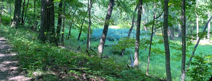 River Trail Nature Center is one of Chicago - Fun.