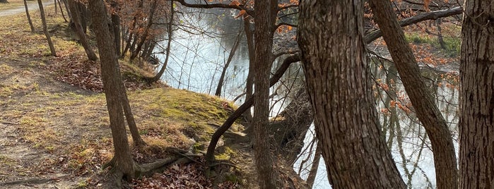 Schiller Woods is one of Hiking in Northeast Illinois.