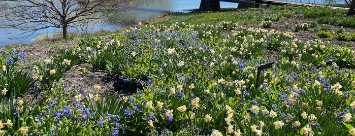 Chicago Botanic Garden is one of Historian 2.