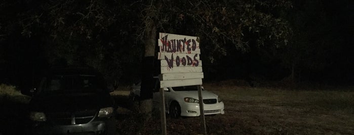 Lady Lake Haunted Woods is one of Michael's Loved List.