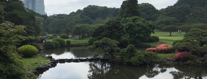 Shinjuku Gyoen is one of Michael's Loved List.